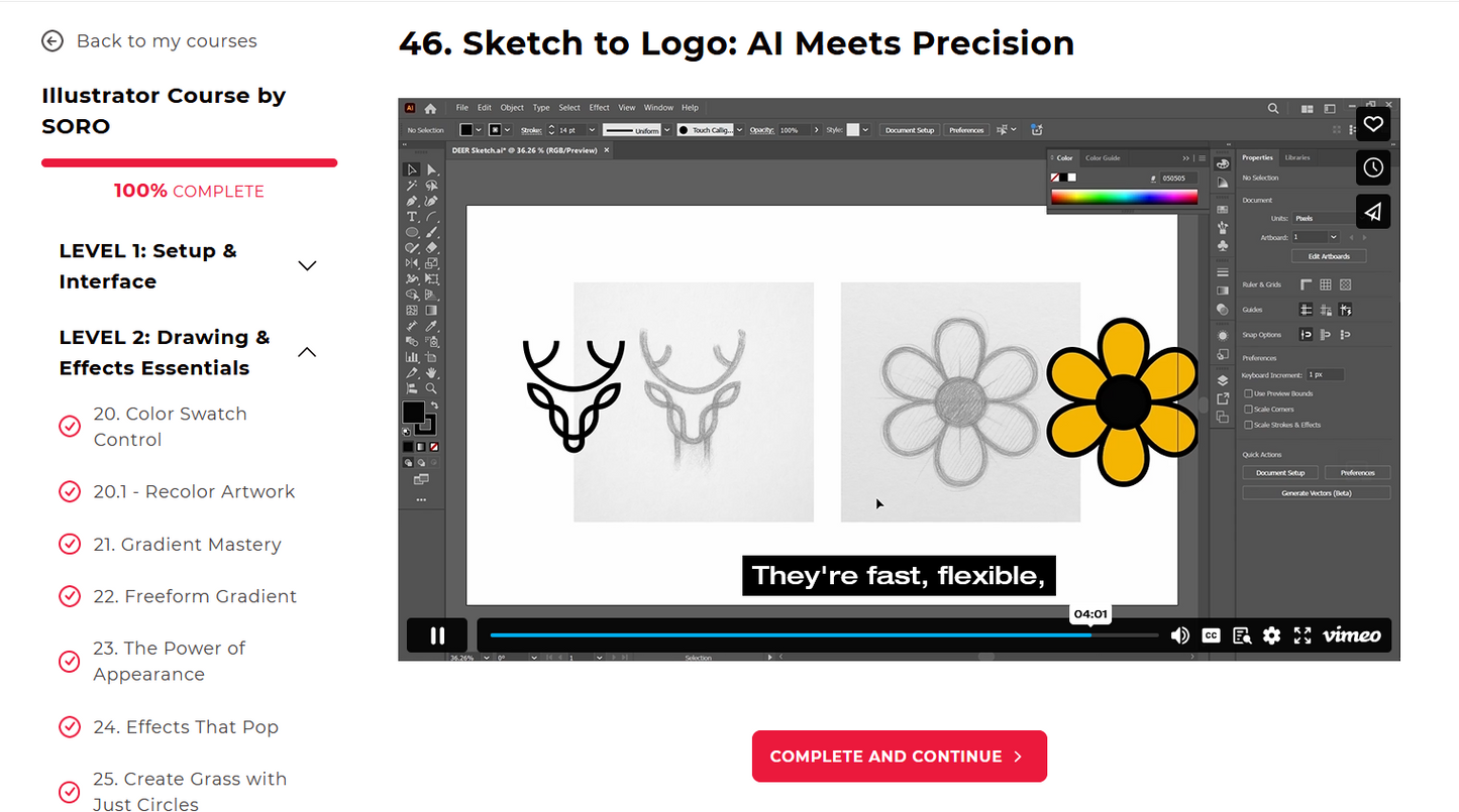 Master Adobe Illustrator: 5 Levels, 5 Hours